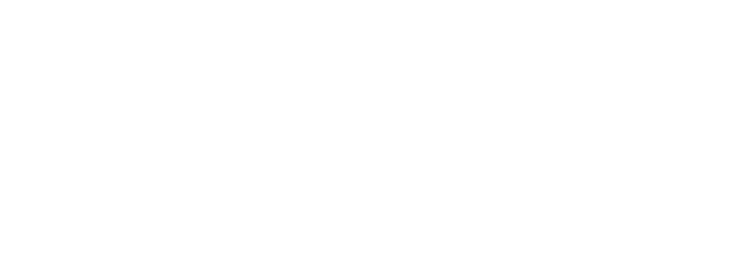 Duel